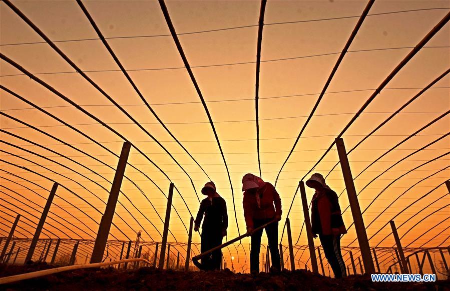 XINHUA PHOTO WEEKLY CHOICES (CN)