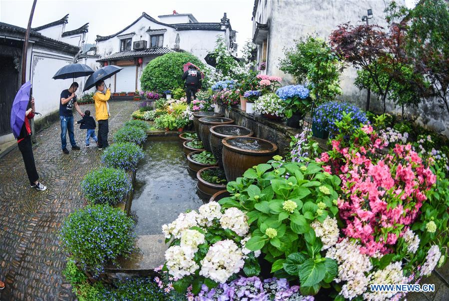 CHINA-ZHEJIANG-HANGZHOU-ANCIENT TOWN-FLOWER EXHIBITION (CN)
