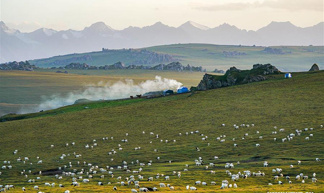 Eco China: Xinjiang carries out projects to improve local ecological environment