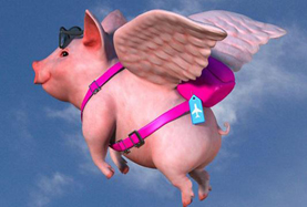 從尋風、找豬到穿秋褲