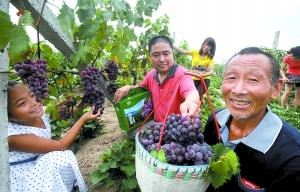 力爭&ldquo;城鄉收入差距持續縮小&rdquo;　富裕農民出實招