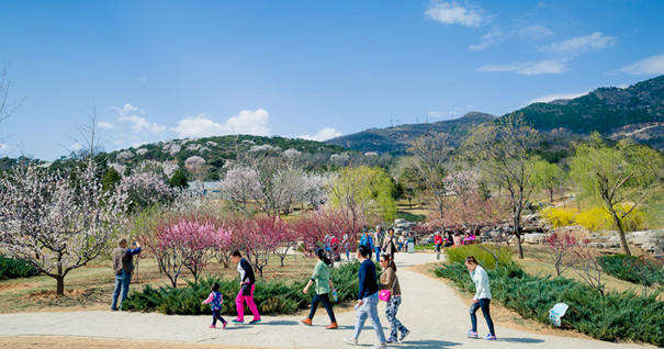 美到無法呼吸！&ldquo;西山晴雪&rdquo;攝影大賽來了