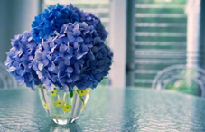 四種人易得青光眼