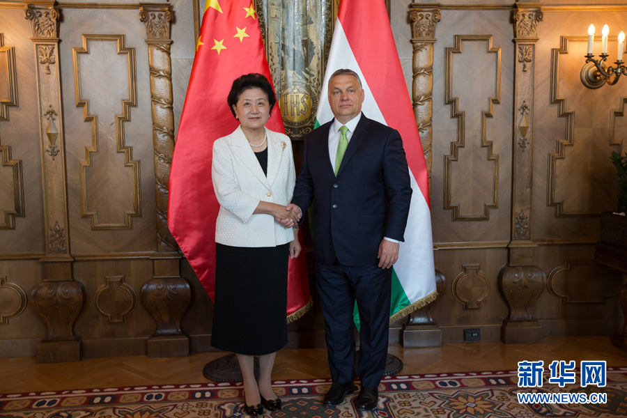  6月21日，國務院副總理劉延東（左）在匈牙利布達佩斯國會大廈會見匈牙利總理歐爾班。 新華社發（弗爾季&middot;奧蒂洛攝）