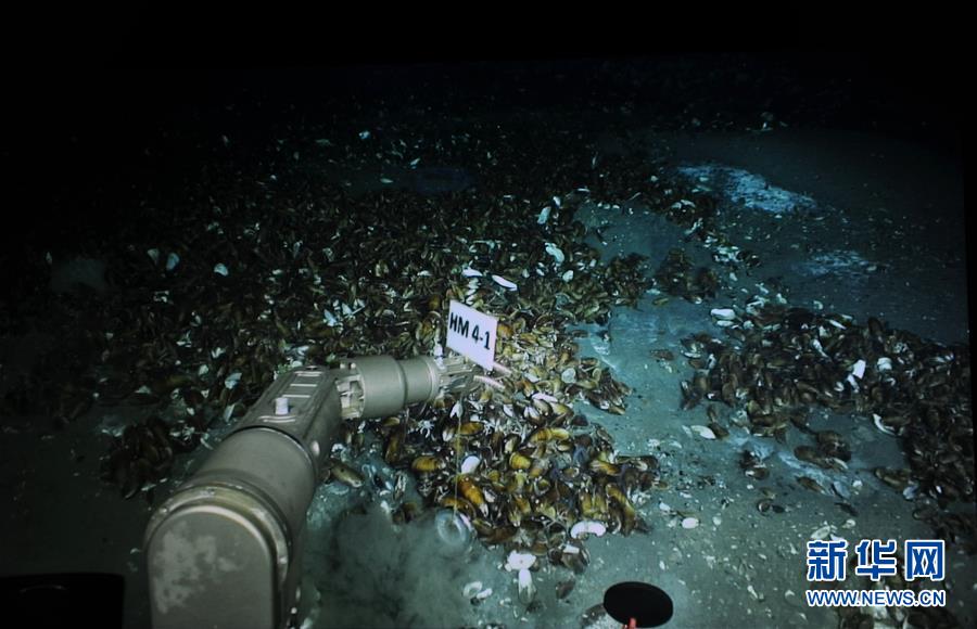 （圖文互動）（3）到南海&ldquo;海馬冷泉&rdquo;探秘海底的&ldquo;生命綠洲&rdquo;