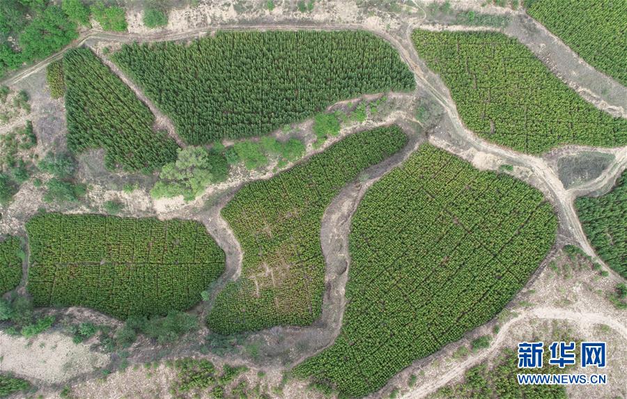 （新華全媒頭條&middot;北京世園會(huì)&middot;圖文互動(dòng)）（8）共繪人類(lèi)生態(tài)文明美麗畫(huà)卷&mdash;&mdash;從北京世園會(huì)看中國(guó)綠色發(fā)展的&ldquo;世界貢獻(xiàn)&rdquo;