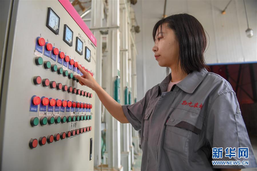 (在習(xí)近平新時代中國特色社會主義思想指引下——新時代新作為新篇章·圖文互動)(5)大學(xué)生種田讓農(nóng)民“老把式”開了眼——吉林長白山下的稻田新事