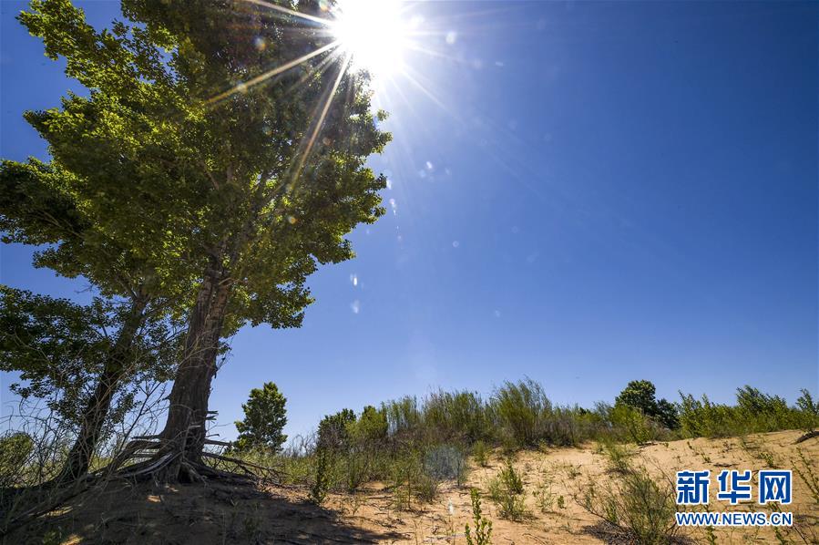 （新華全媒頭條&middot;壯麗70年&middot;奮斗新時(shí)代&middot;圖文互動）（5）中國減貧的西海固報(bào)告