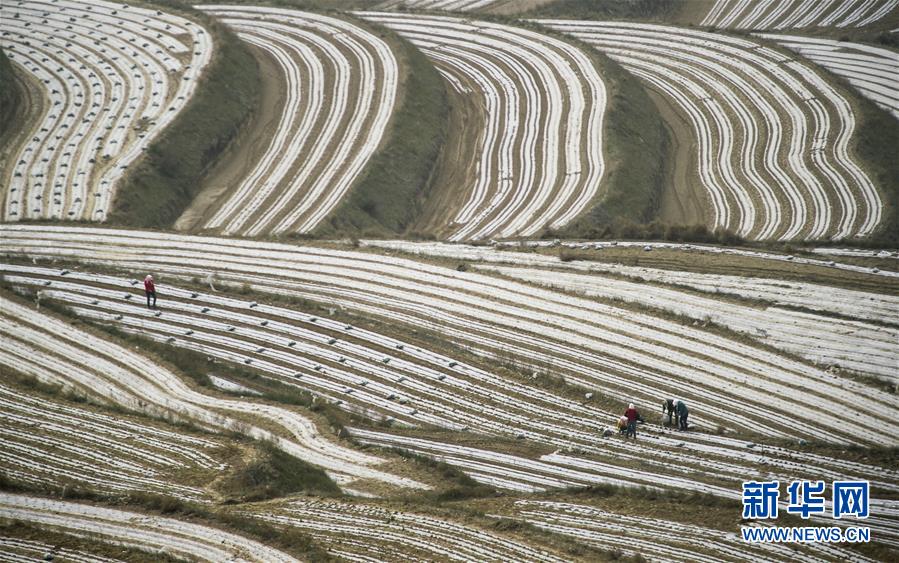 （新華全媒頭條&middot;壯麗70年&middot;奮斗新時(shí)代&middot;圖文互動）（7）中國減貧的西海固報(bào)告