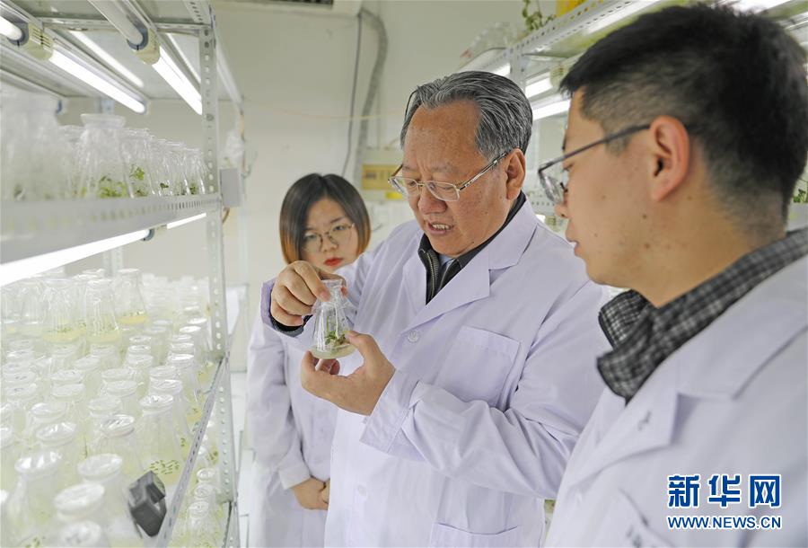 （新華全媒頭條&middot;圖文互動(dòng)）（1）和蔬菜&ldquo;說(shuō)話&rdquo;的人&mdash;&mdash;中國(guó)工程院院士李天來(lái)的&ldquo;棚菜人生&rdquo;