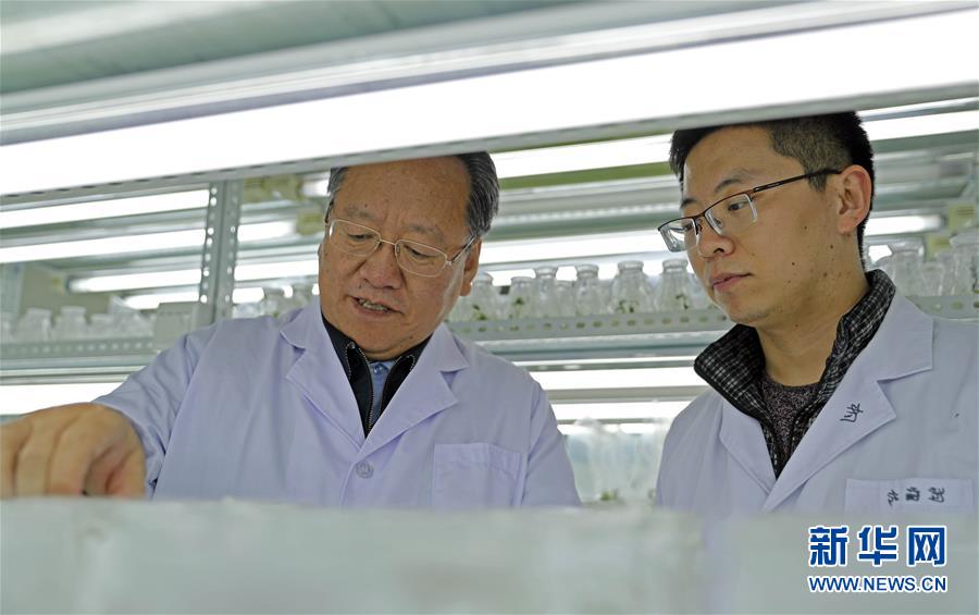 （新華全媒頭條&middot;圖文互動(dòng)）（2）和蔬菜&ldquo;說(shuō)話&rdquo;的人&mdash;&mdash;中國(guó)工程院院士李天來(lái)的&ldquo;棚菜人生&rdquo;