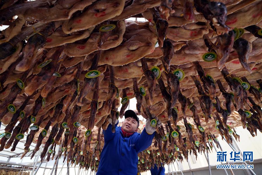 （壯麗70年&middot;奮斗新時代&mdash;&mdash;共和國發展成就巡禮&middot;圖文互動）（3）人民至上的生動實踐&mdash;&mdash;共和國民生發展成就巡禮