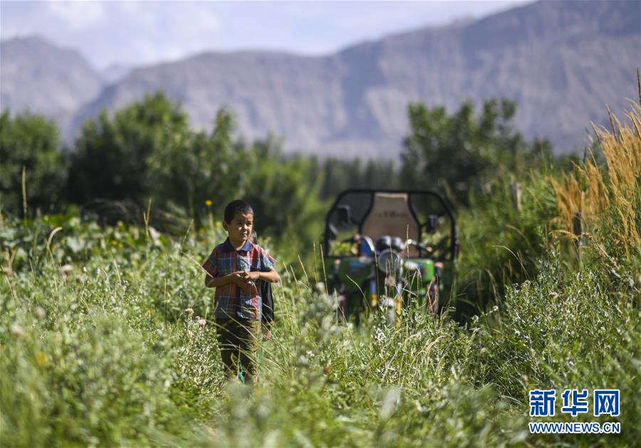 (決戰決勝脫貧攻堅·圖文互動)(5)記者手記:尋訪昆侖“桃花源”的“祛病”良方