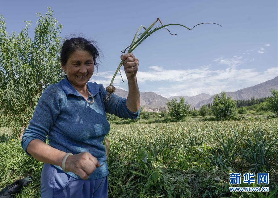 (決戰決勝脫貧攻堅·圖文互動)(1)記者手記:尋訪昆侖“桃花源”的“祛病”良方