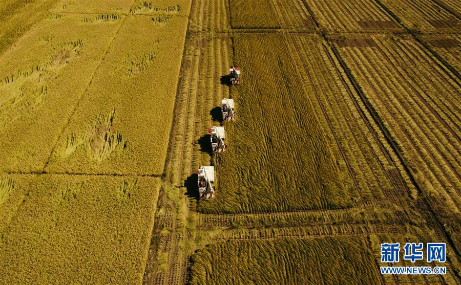 (新華全媒頭條·圖文互動)(5)紅色的傳承,藍圖的起點——新中國孕育與發展的“東北記憶”