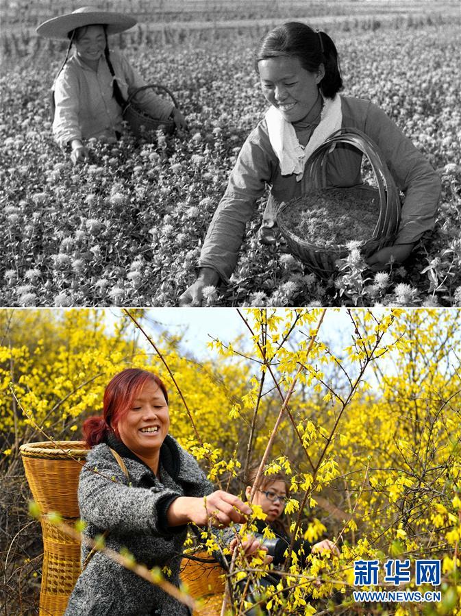 （壯麗70年&middot;奮斗新時代）（3）70年時光流影 70行見證發展