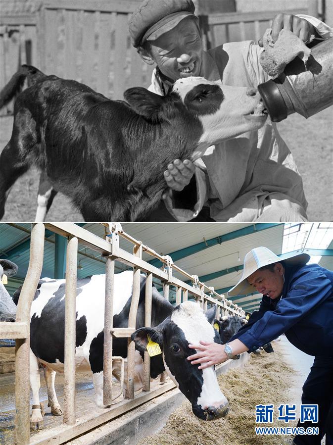 （壯麗70年&middot;奮斗新時代）（8）70年時光流影 70行見證發(fā)展