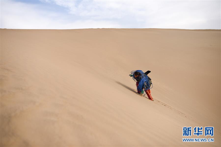 （新春走基層&middot;圖文互動）（3）寒冬里，&ldquo;沙漠玫瑰&rdquo;猶自綻放