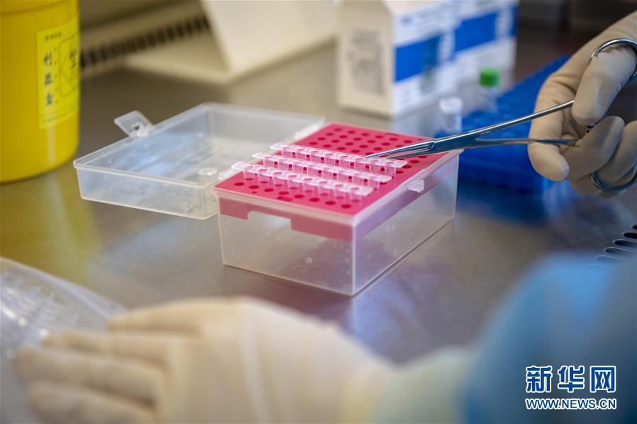 (一線抗疫群英譜·圖文互動)(4)“90后”檢驗(yàn)員張慧變:每個樣本都是一份沉甸甸的責(zé)任