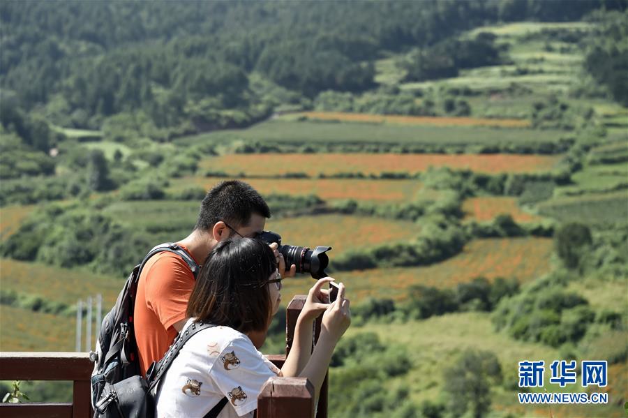 （圖文互動）（1）這座小城，鐫刻下怎樣的&ldquo;世園印記&rdquo;&mdash;&mdash;北京世園會開園一周年探訪延慶