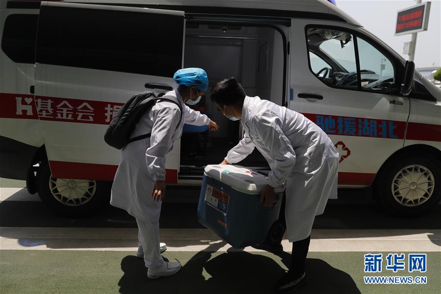 (聚焦疫情防控)(8)73天ECMO輔助治療的新冠肺炎核酸轉陰患者經雙肺移植后重啟呼吸