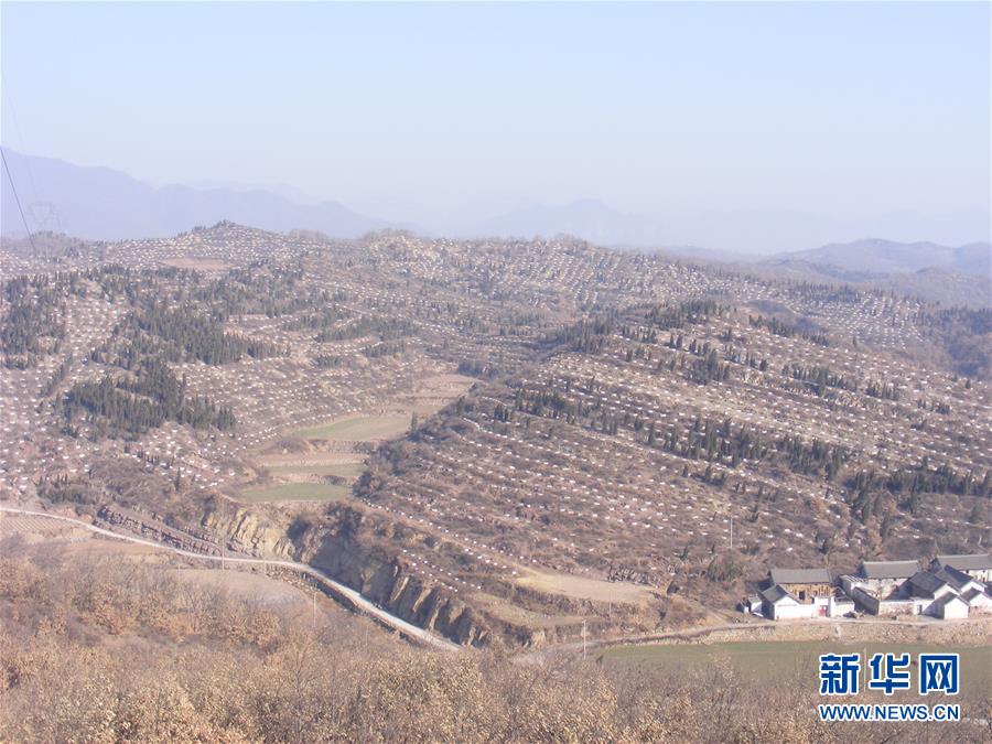 （決戰(zhàn)決勝脫貧攻堅(jiān)&middot;圖文互動）（2）&ldquo;愚公&rdquo;治山