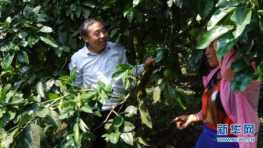 (新華網(wǎng)·決戰(zhàn)決勝脫貧攻堅·圖文互動)(1)貴州思南:強村帶弱村 “抱團”促增收