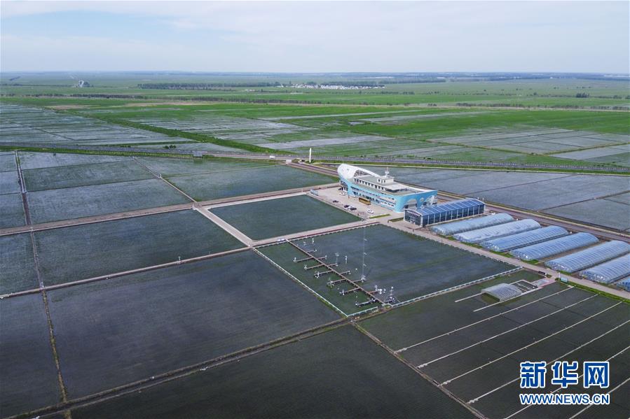 （走向我們的小康生活&middot;圖文互動）（3）端牢&ldquo;中國飯碗&rdquo; 播種綠色小康