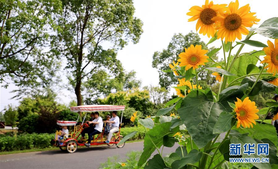 （新華全媒頭條&middot;走向我們的小康生活&middot;圖文互動）（13）城市，讓人民生活更美好