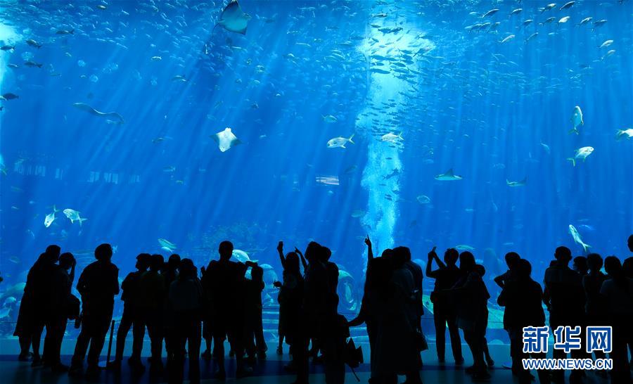 （在習近平新時代中國特色社會主義思想指引下&mdash;&mdash;新時代新作為新篇章&middot;習近平總書記關切事&middot;圖文互動）（9）感受開放新魅力&mdash;&mdash;海南自由貿易港建設開局觀察