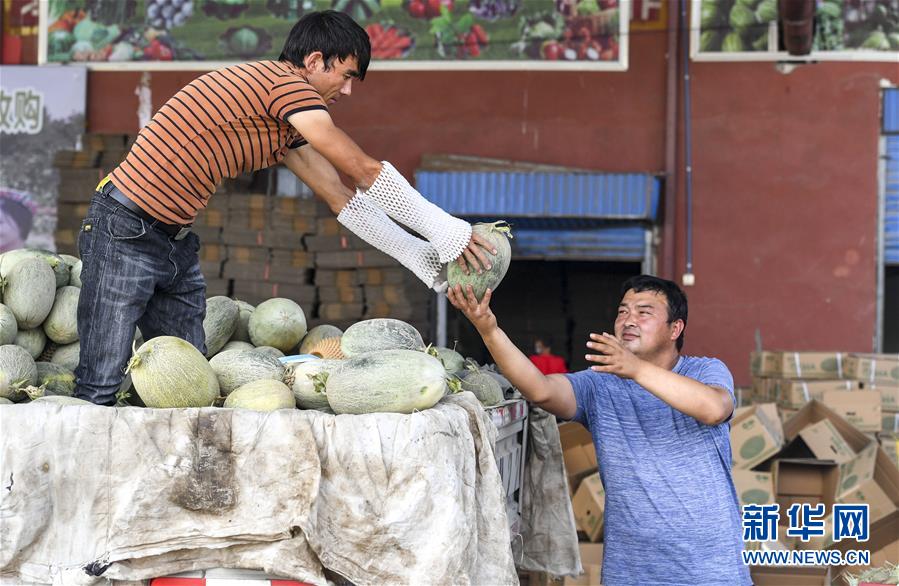 （決戰決勝脫貧攻堅&middot;圖文互動）（2）&ldquo;窮&rdquo;鄉富戶的販瓜生意經