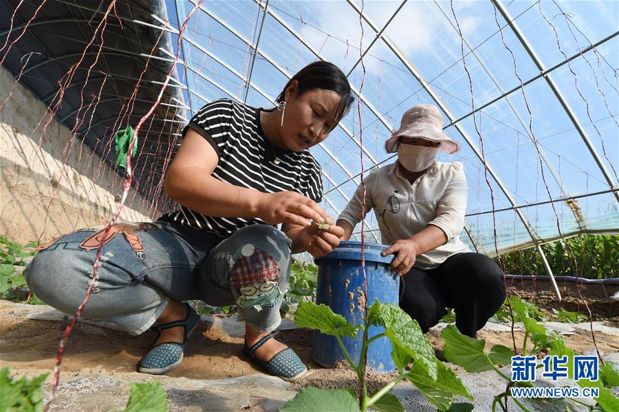 （新華全媒頭條&middot;走向我們的小康生活&middot;圖文互動）（5）&ldquo;苦甲&rdquo;不再，&ldquo;甘味&rdquo;綿長&mdash;&mdash;脫貧攻堅的甘肅味道
