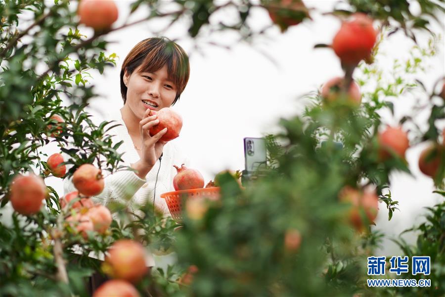 (新華全媒頭條·圖文互動)(12)流動中國折射復蘇新氣象——透視“十一”黃金周