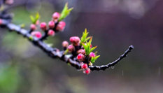 隨心而行，走走停停始終精彩。