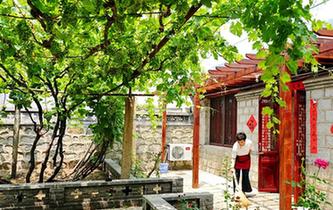 &ldquo;葡萄之鄉&rdquo;河北昌黎打造精品民宿助推全域旅游升級