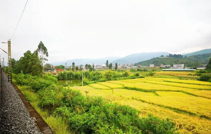 坐著高鐵看中國｜走成昆，感受闖過禁區(qū)的光影記錄