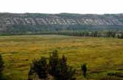 塞上榆林實現&ldquo;綠色轉身&rdquo;