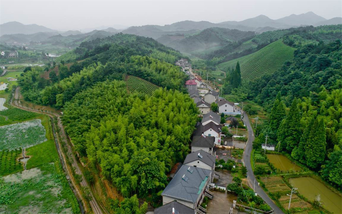 從2003年起，浙江省開(kāi)展了&ldquo;千村示范、萬(wàn)村整治&rdquo;工程