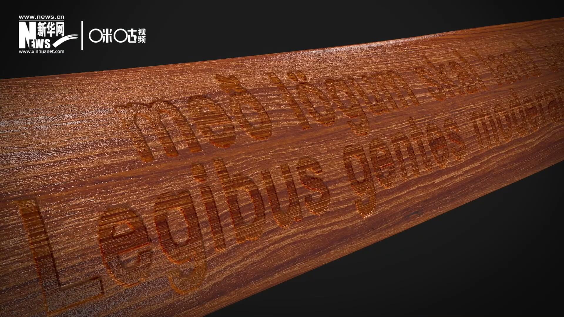 這把木槌尺寸超大、顏色棕紅、精雕細刻，上面刻有&ldquo;社會必須建立在法律的基礎上&rdquo;。