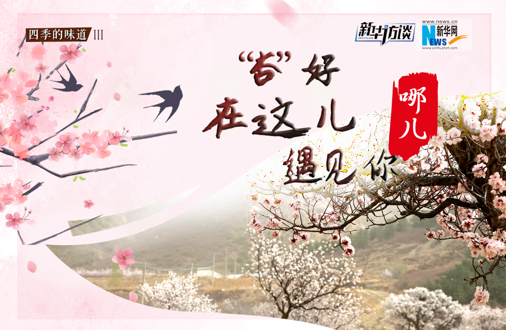 哪兒？&ldquo;杏&rdquo;好在這兒遇見你！