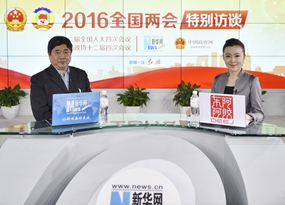 單霽翔做客新華網兩會訪談間