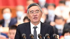 全國政協經濟委員會副主任，原中央財經領導小組辦公室副主任 楊偉民