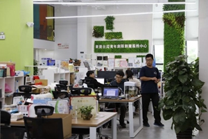 臺(tái)青追夢(mèng)珠三角:&ldquo;這里創(chuàng)業(yè)成功機(jī)會(huì)大&rdquo;