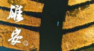 &ldquo;飛閱&rdquo;中國