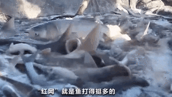 2020查干湖冬捕：什么是&ldquo;紅網&rdquo;