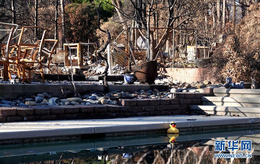 (國際·圖文互動)(3)一場山火,讓這個冬天格外冷——探訪美國加州山火災區