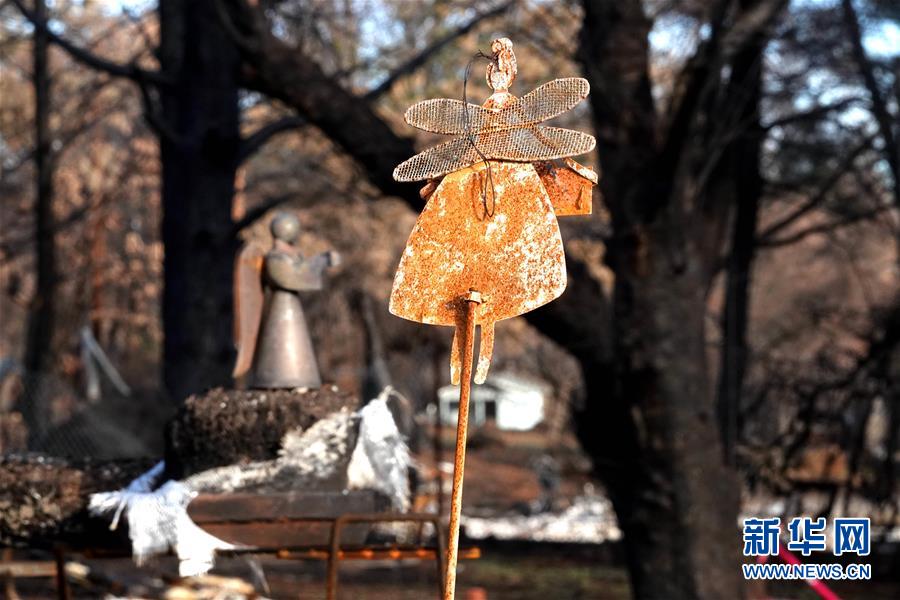 (國際·圖文互動)(9)一場山火,讓這個冬天格外冷——探訪美國加州山火災區