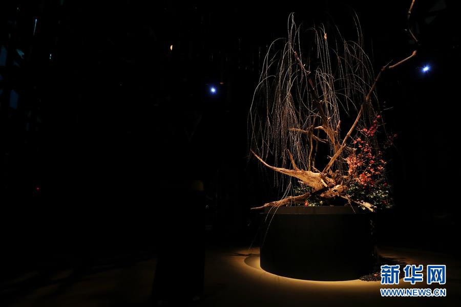 （國際）（5）日本東京：寒冬時節賞&ldquo;繁花&rdquo; 