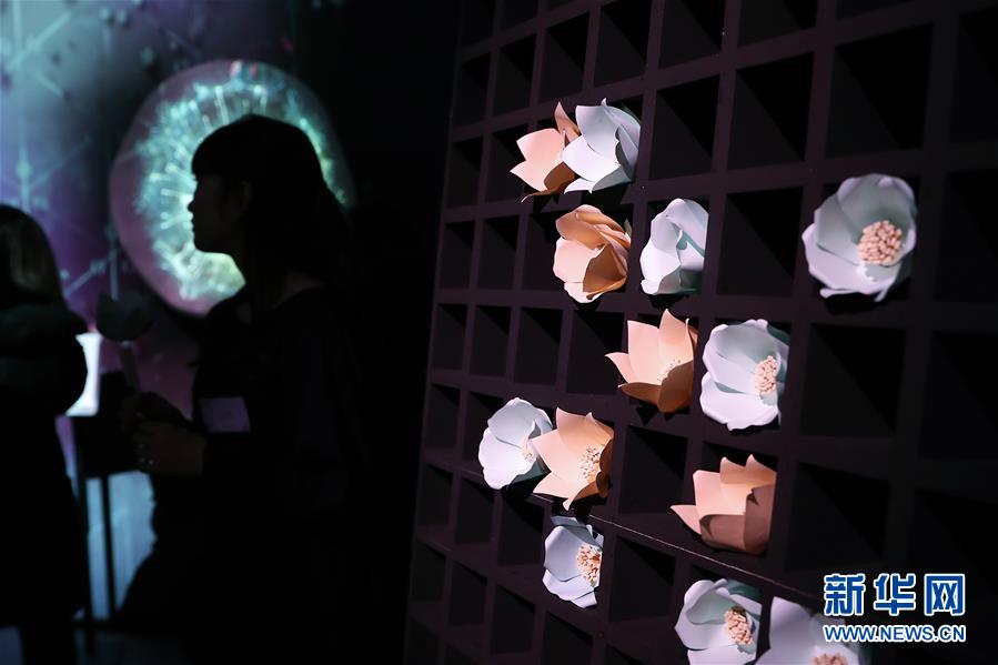 （國際）（3）日本東京：寒冬時節賞&ldquo;繁花&rdquo; 