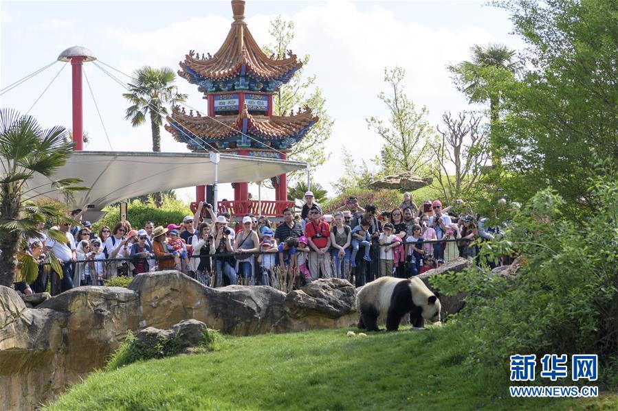 (習近平出訪配合稿·圖文互動)(2)綜述:互利共贏 敢為人先——中法關系行穩致遠